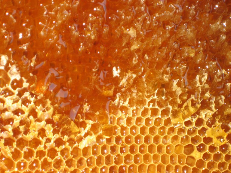 Natürliches Hausmittel: 8 Honig-Tipps
